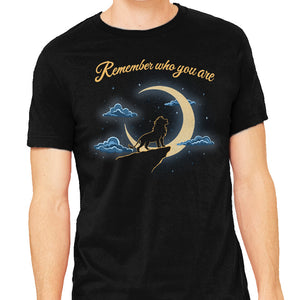 Remember Who You Are Moonlight