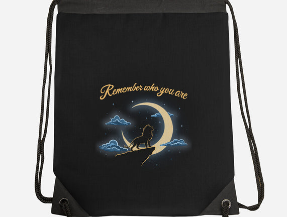 Remember Who You Are Moonlight
