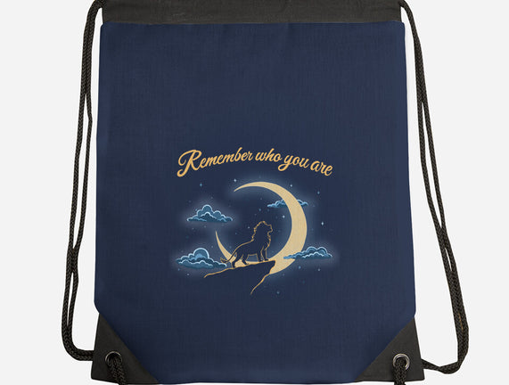 Remember Who You Are Moonlight