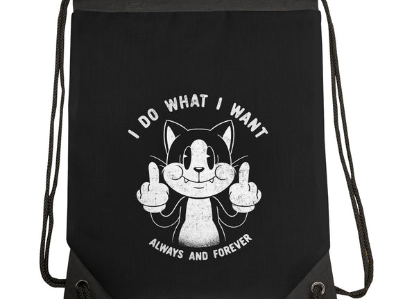 I Do What I Want Funny Cat