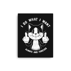 I Do What I Want Funny Cat