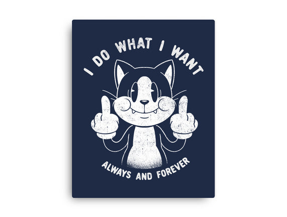 I Do What I Want Funny Cat