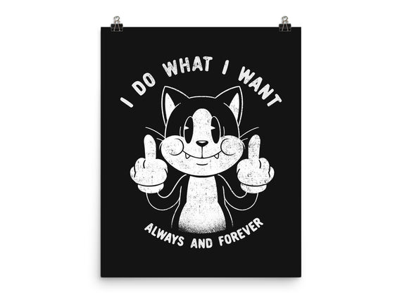 I Do What I Want Funny Cat