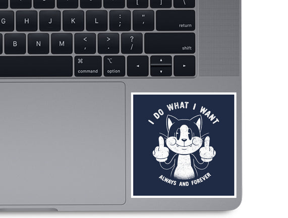 I Do What I Want Funny Cat