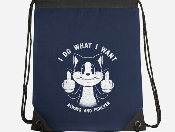 I Do What I Want Funny Cat