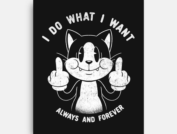 I Do What I Want Funny Cat