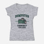 Dumpster CC-Womens-V-Neck-Tee-rarpoint