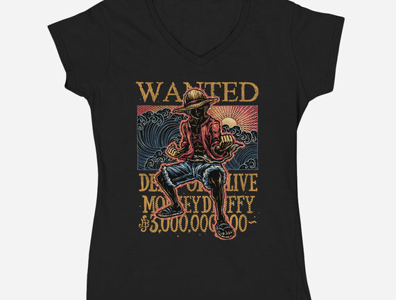 Wanted In The High Seas