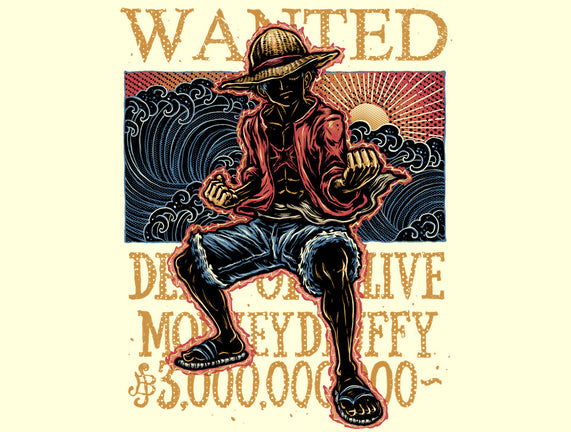 Wanted In The High Seas