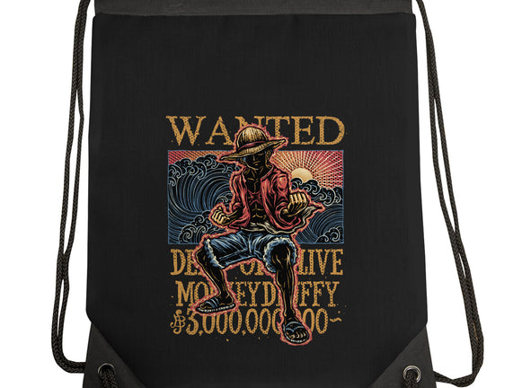 Wanted In The High Seas