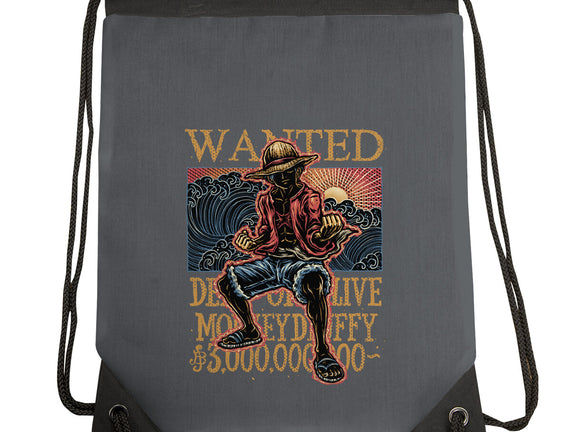 Wanted In The High Seas