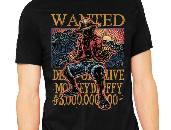 Wanted In The High Seas