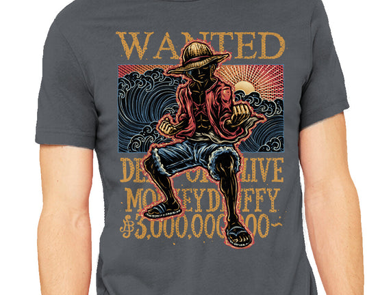 Wanted In The High Seas