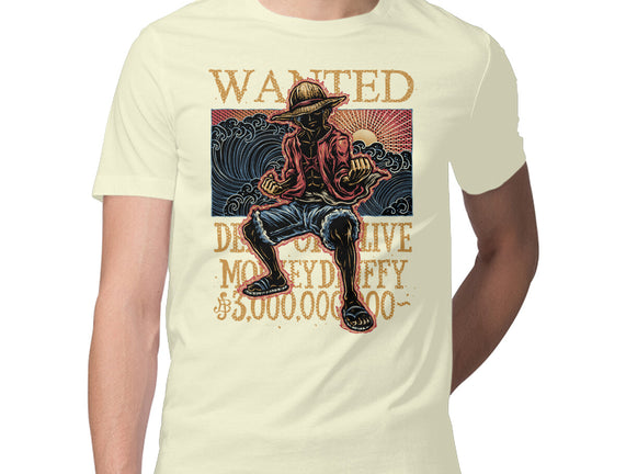 Wanted In The High Seas