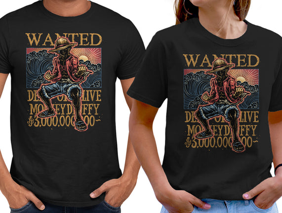 Wanted In The High Seas