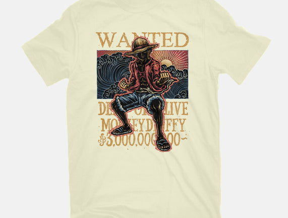 Wanted In The High Seas