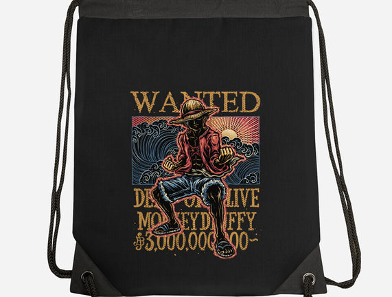 Wanted In The High Seas
