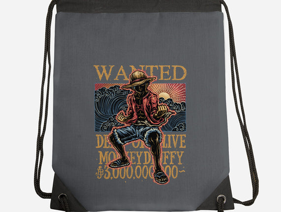 Wanted In The High Seas