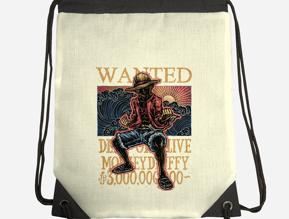 Wanted In The High Seas