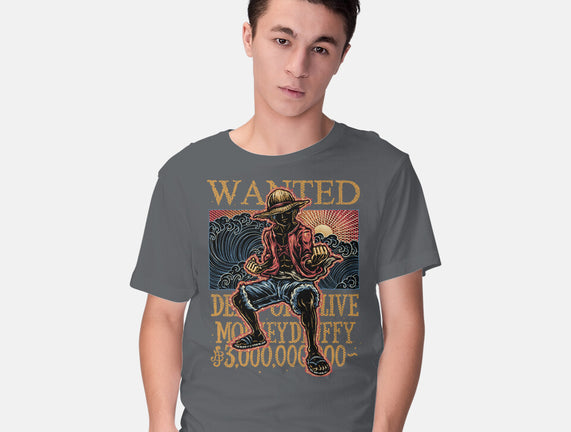 Wanted In The High Seas