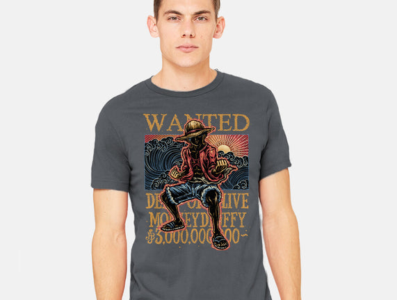 Wanted In The High Seas