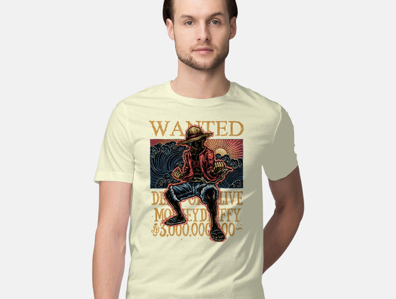 Wanted In The High Seas