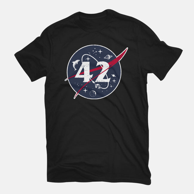 42 Life Universe Everything-Mens-Heavyweight-Tee-SuperEdu