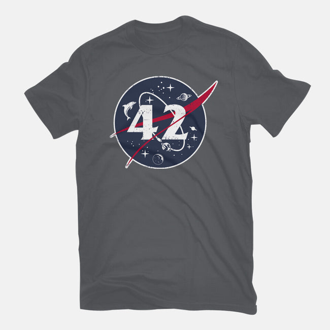 42 Life Universe Everything-Mens-Heavyweight-Tee-SuperEdu
