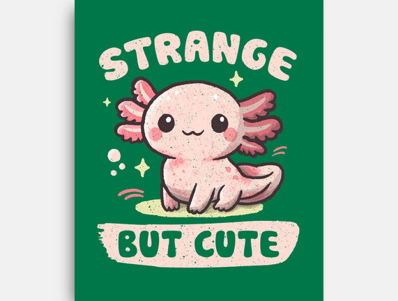 Strange But Cute