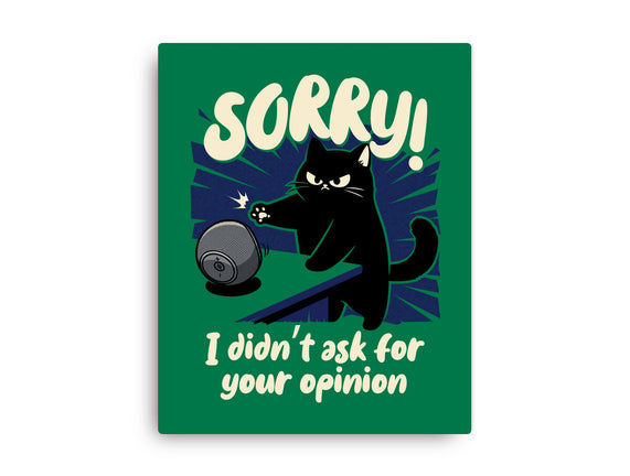 Didn't Ask For Your Opinion