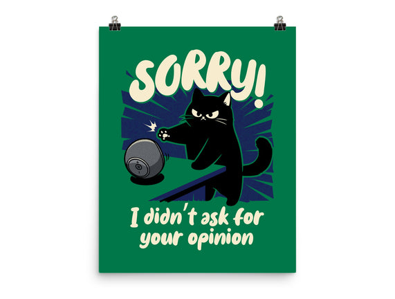 Didn't Ask For Your Opinion