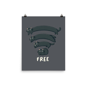Catfi Free