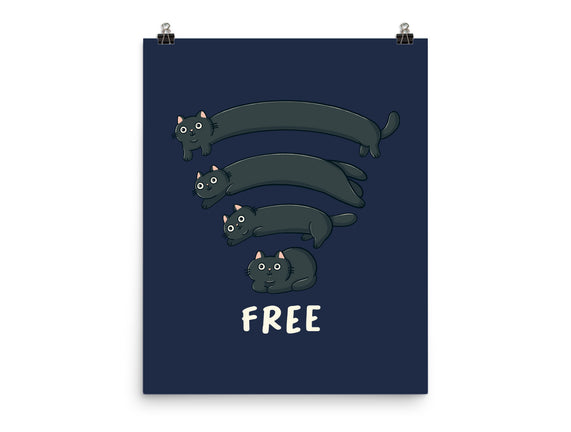Catfi Free