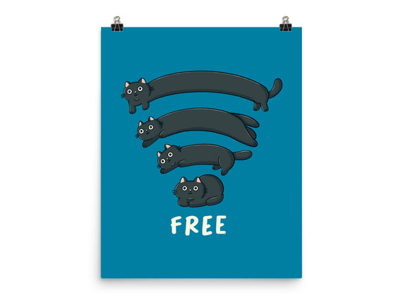 Catfi Free