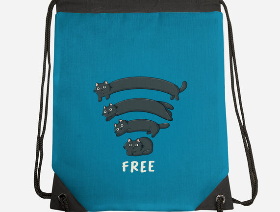 Catfi Free