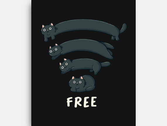 Catfi Free