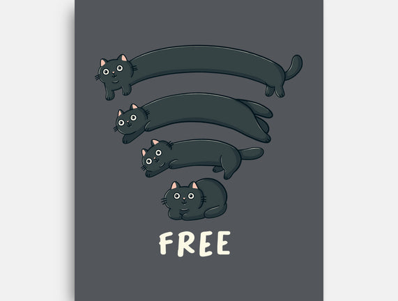 Catfi Free