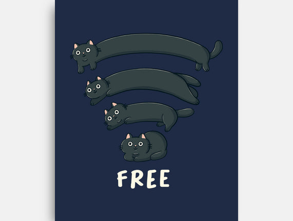 Catfi Free