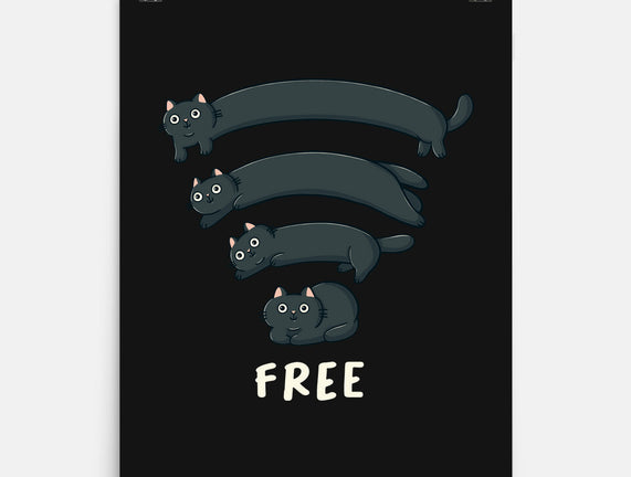 Catfi Free