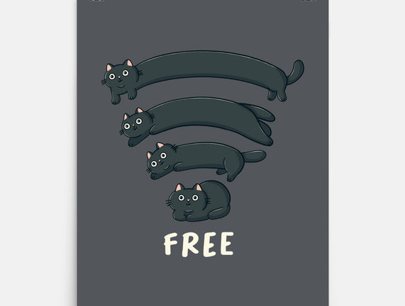Catfi Free