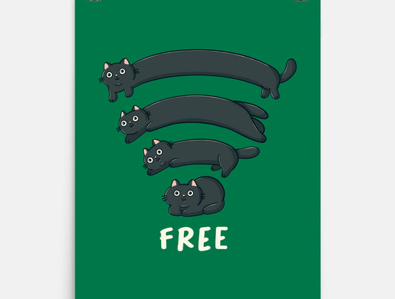 Catfi Free