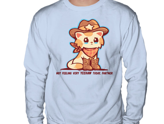 Not Feeling Very Yeehaw