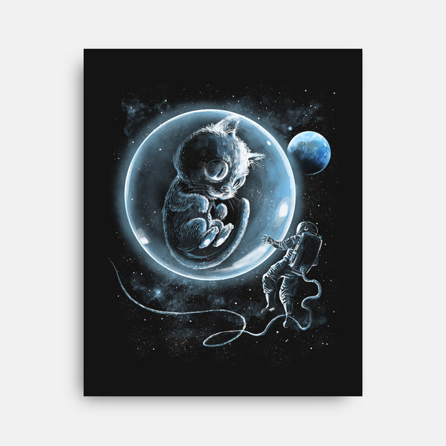 A Cat Odyssey-None-Stretched-Canvas-zascanauta