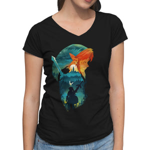 Hyrule Hero
