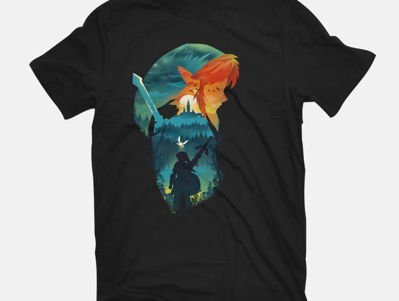 Hyrule Hero