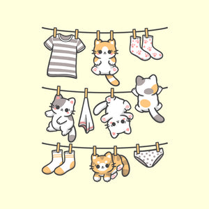 Kitten Laundry Day