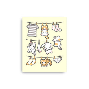 Kitten Laundry Day