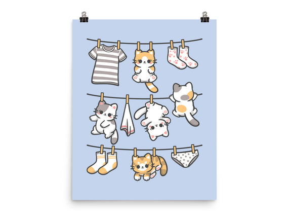 Kitten Laundry Day