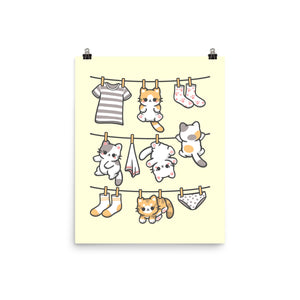 Kitten Laundry Day