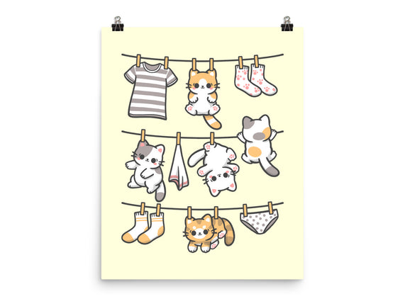 Kitten Laundry Day